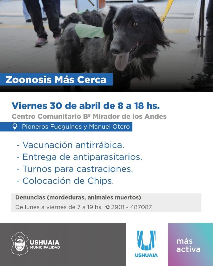 photo 2021 04 26 20 41 18