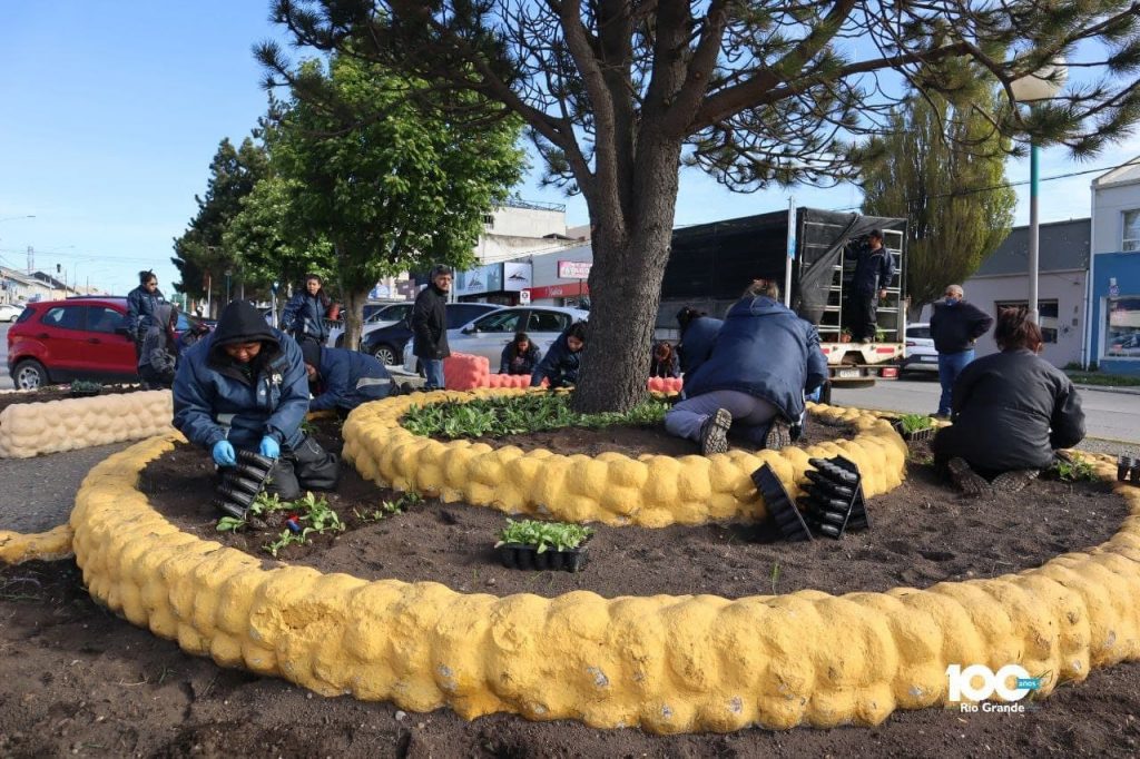 photo 2021 11 09 20 20 12