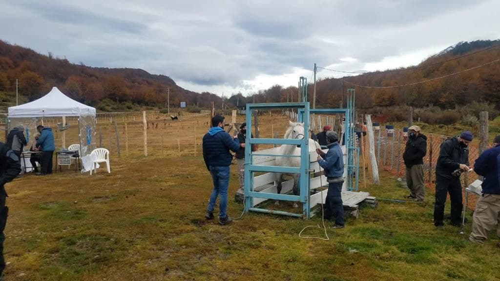 photo 2021 11 14 15 21 01