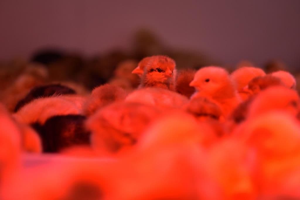 photo 2021 11 21 18 11 53