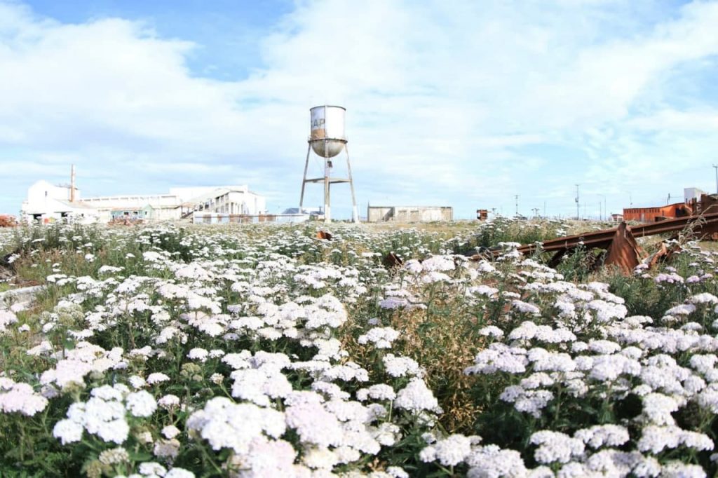 photo 2021 12 02 18 23 51