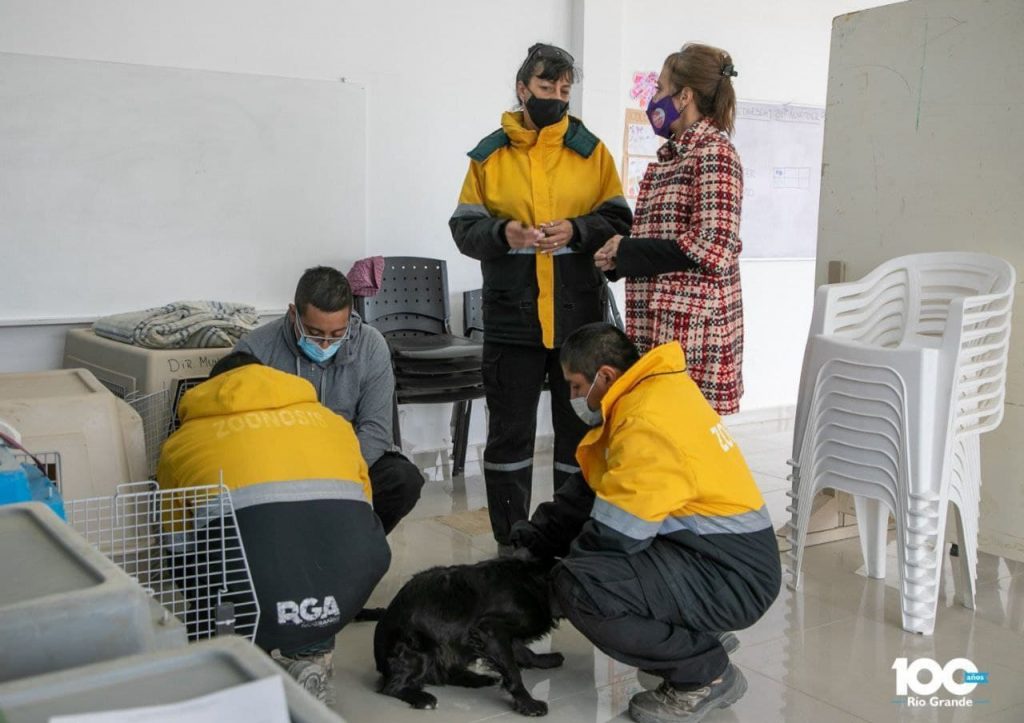 photo 2021 12 06 19 33 49