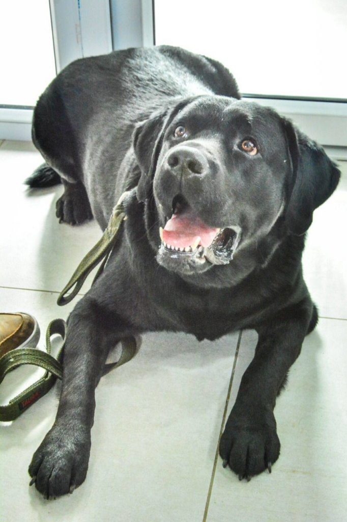 photo 2022 03 15 13 40 18