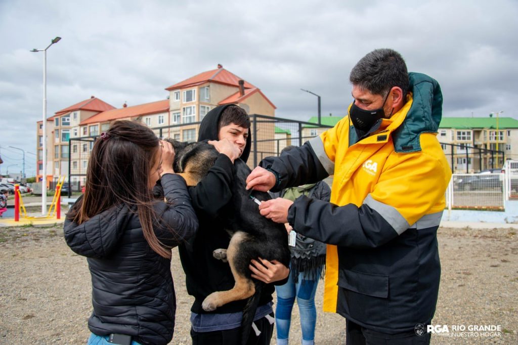 photo 2022 03 23 17 30 43