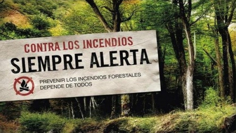 Inicio La Campaña De Concientización Sobre Prevención De Incendios Forestales El Riograndense 9533