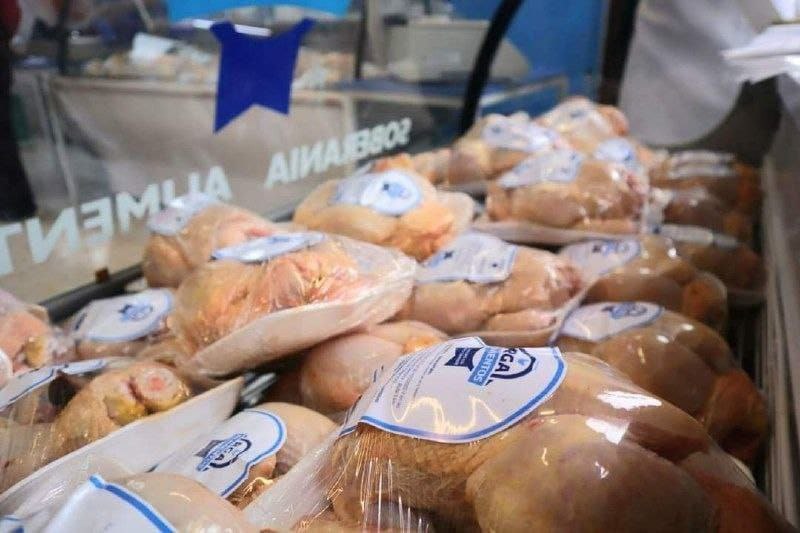 rga alimentos