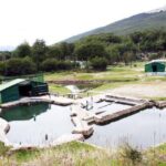 termas río valdez