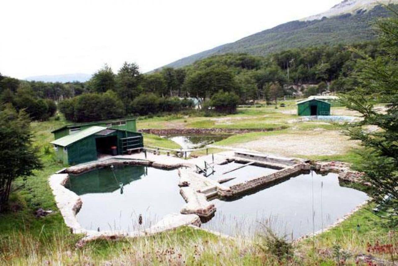 termas río valdez