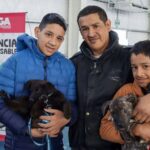 adopción responsable