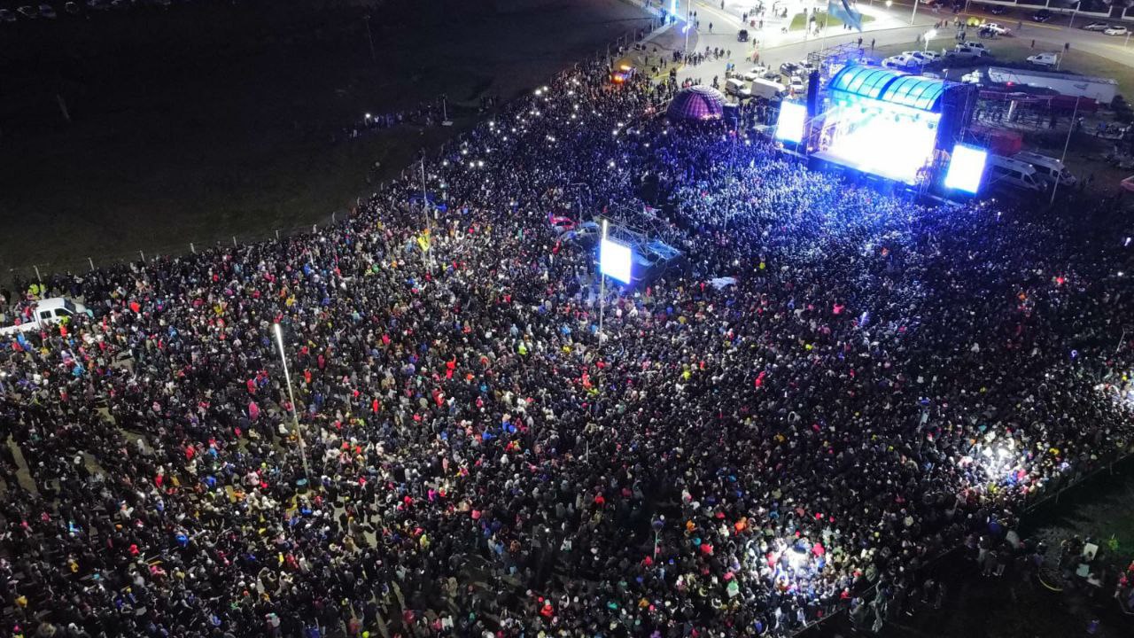 encendido arbolito los palmeras